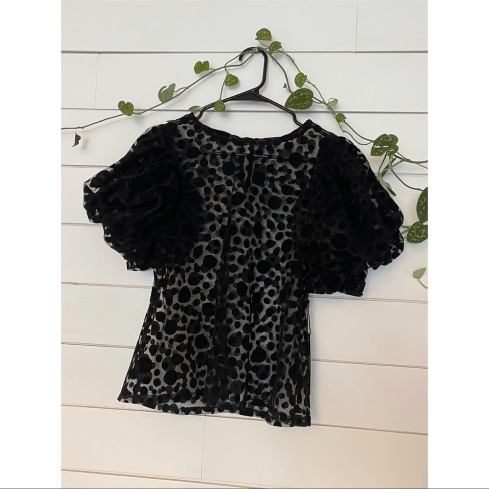 NWT Haute Monde Sheer Polka Dot Puff Sleeve Top